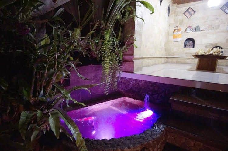 Ubud Dream Ubud Dream