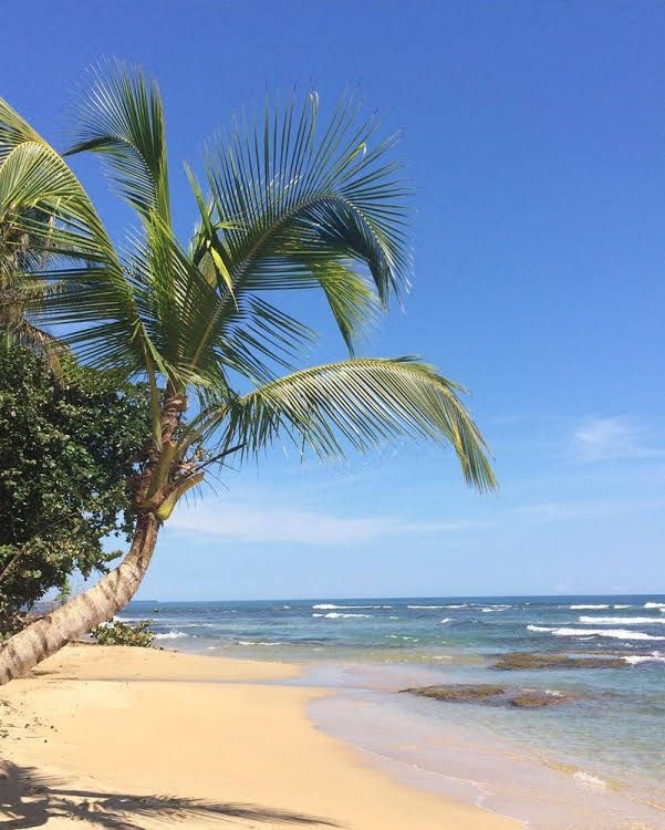 Las Casitas de Playa Negra0