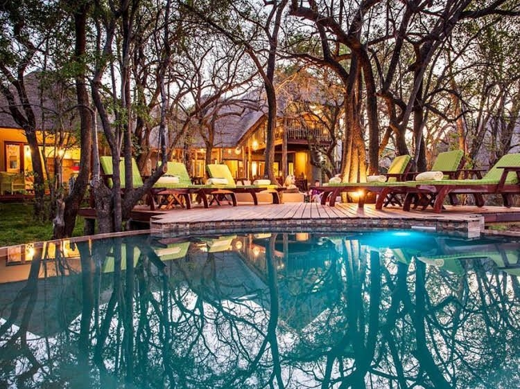 Tambuti Lodge4