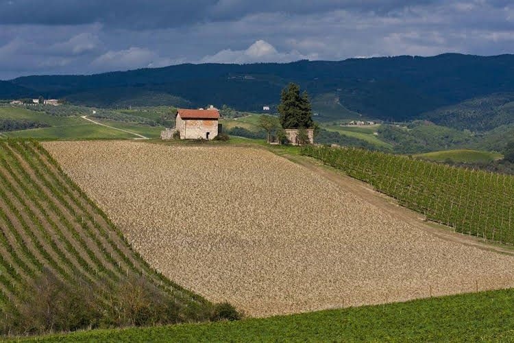 Agriturismo Casale Dello Sparviero2