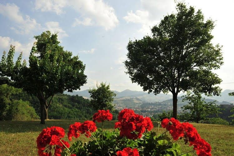 Agriturismo La Caputa3