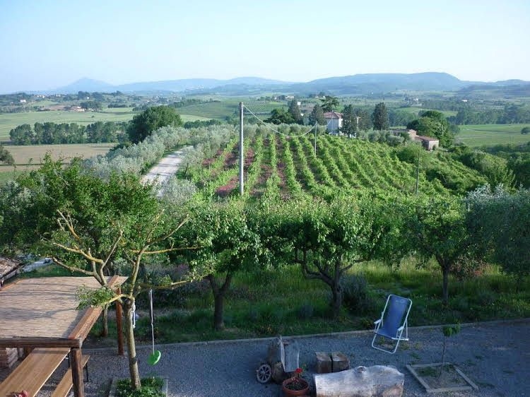 B&b Il Ciliegio Errante1