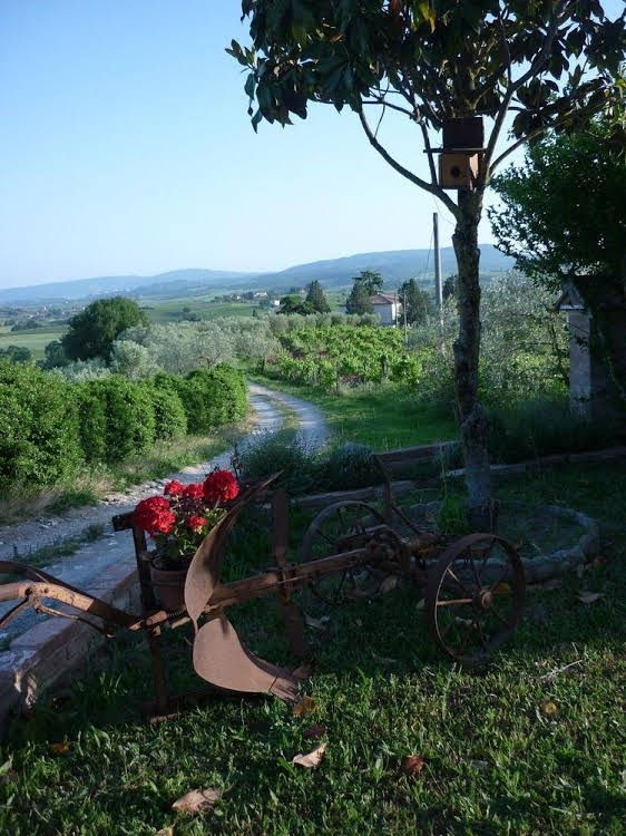 B&b Il Ciliegio Errante3