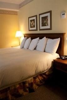Horseshoe Resort2