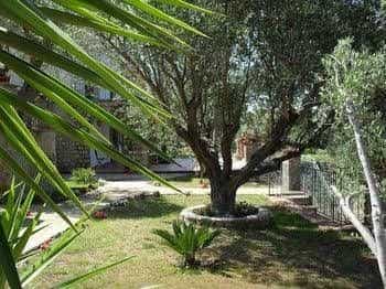 Antica Dimora Palinuro