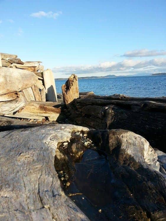 By the Sea BnB, Sidney Victoria BC By the Sea BnB, Sidney Victoria BC