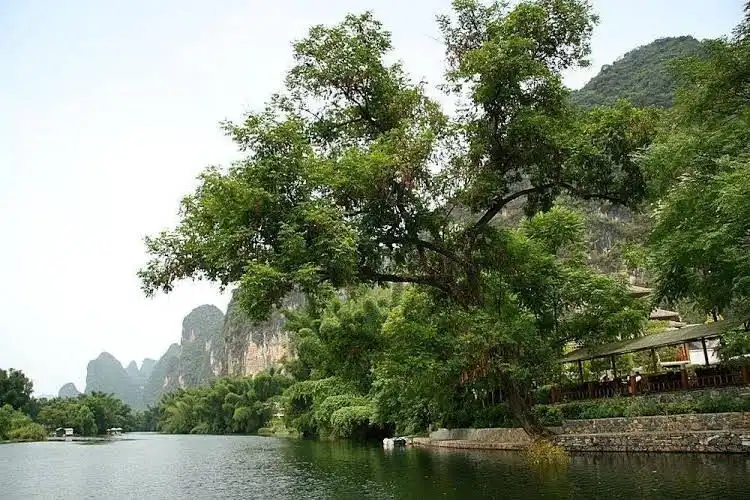 Yangshuo Riverside Resort Hotel Yangshuo Riverside Resort Hotel
