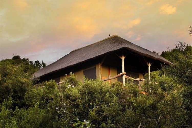 Lalibela Game Reserve4