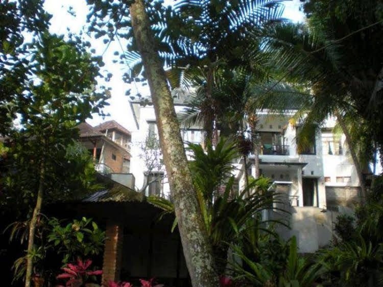 อิคนา บังกะโล (Igna Bungalows)0