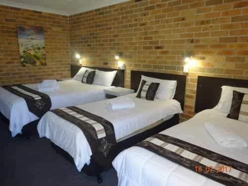 Forster Palms Motel