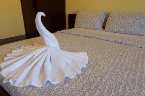 Superior Double or Twin Room with Terrace