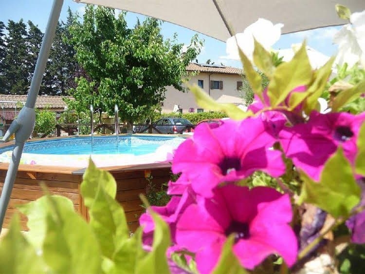 B&B Pergolato di Sotto3