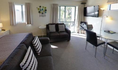 One-Bedroom Apartment with Shower
