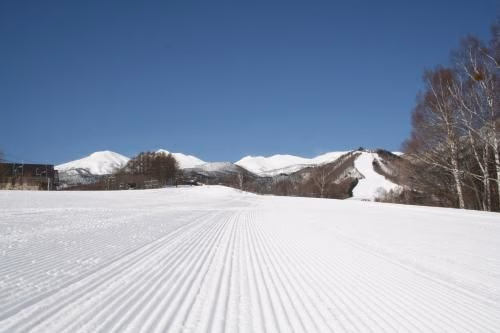 Alpine Inn Mizushiro1