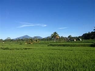 Bali Ubud Villa2