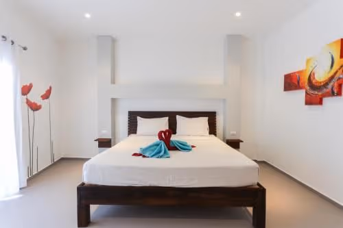 Superior Plus Double Room