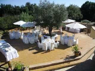 Finca son Olive Finca son Olive