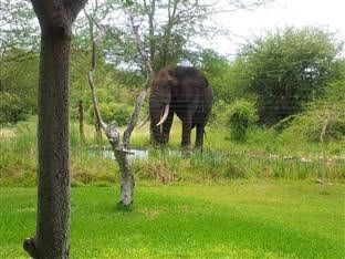 Masodini Game Lodge0