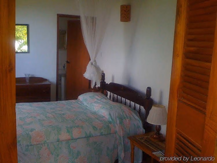 Hummingbird Inn4