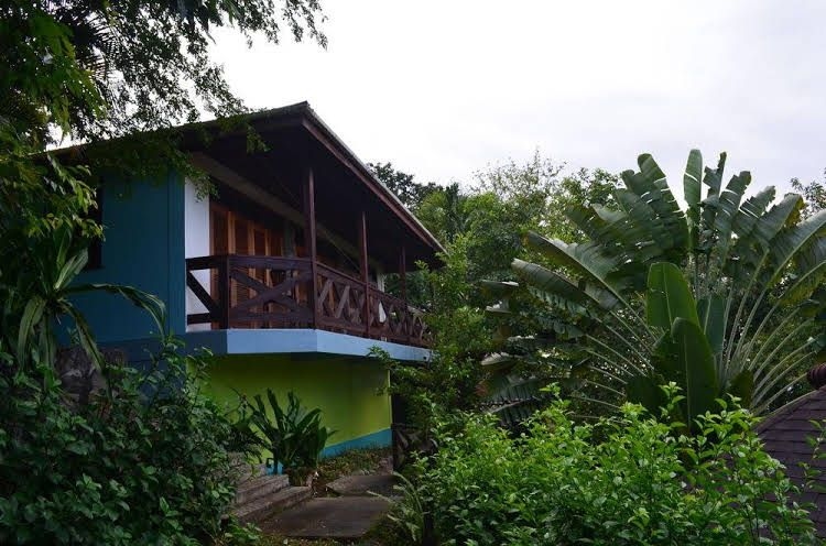 Hummingbird Inn1