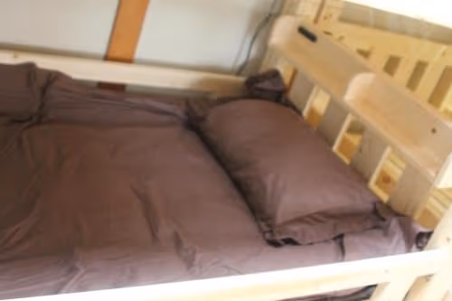 Bunk Bed in 12-Bed Mixed Dormitory Room
