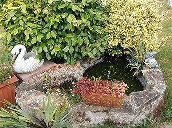 A Hideaway Retreat - B & B4