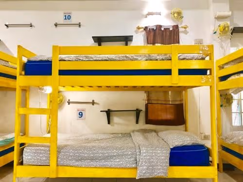 Bunk Bed in Mixed Dormitory Room