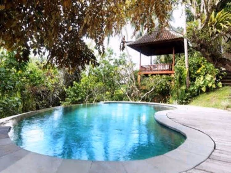 Petanu River Villa4