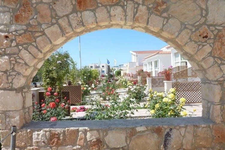 Eliofos Center3