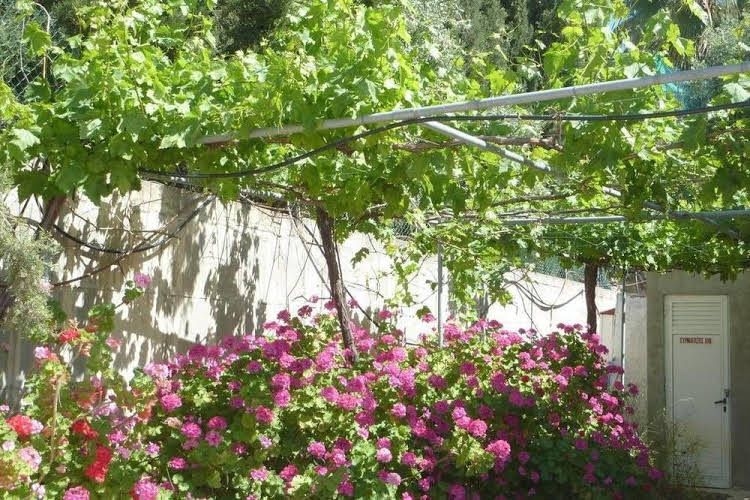 Eliofos Center1