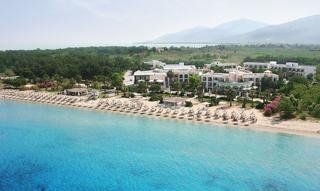 Ilio Mare0