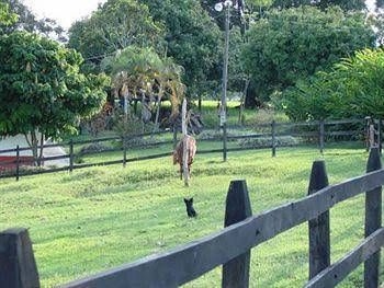 Finca La Holanda1