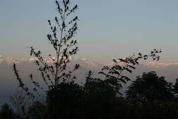 Namobuddha Resort Namobuddha Resort