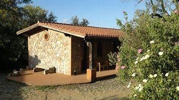 La Quercia Verde1