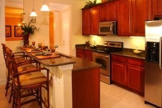 Universal Studios Area Luxury Apartments0