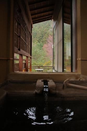 Japanese-Style Superior Twin Room with Open-Air Bath