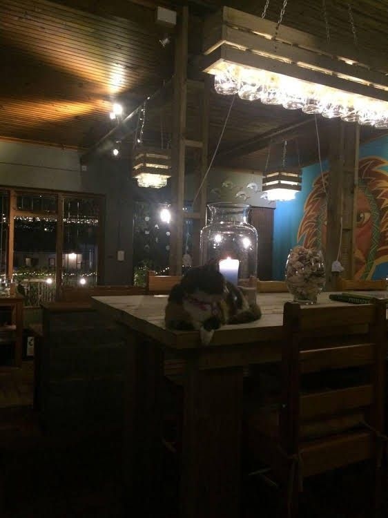 Albergo for Backpackers4