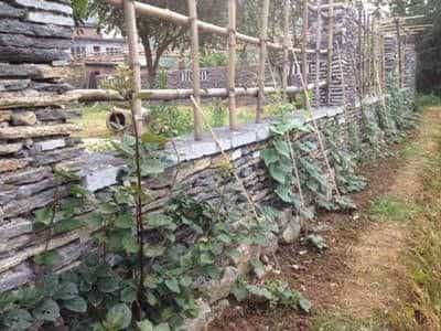 Yangshuo Ecofarm Lodge Yangshuo Ecofarm Lodge