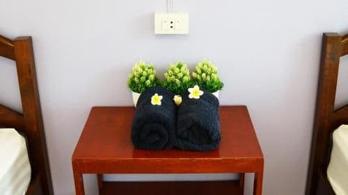 Twin Room with Balcony