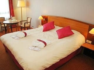 Mercure Clermont Ferrand Centre0