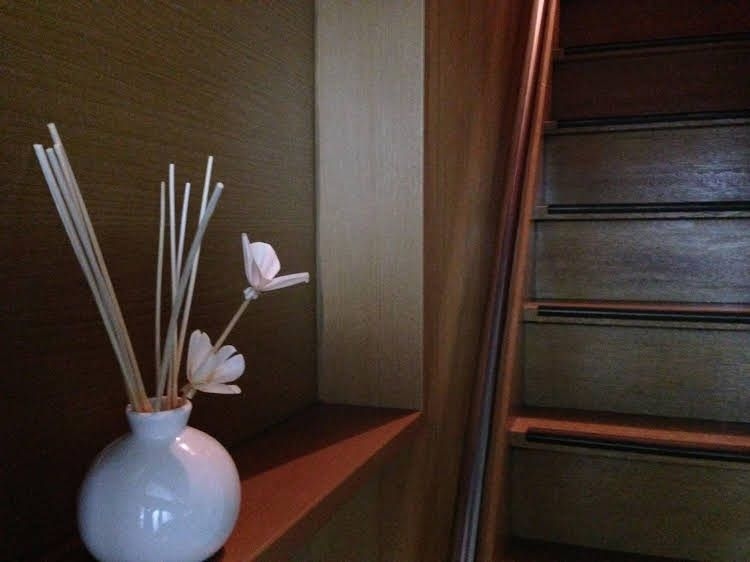 Stella Higashiyama1