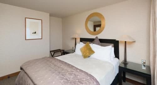 Junior Queen Suite