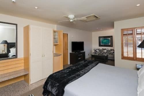 Special Offer - Standard Queen Room with Pool View