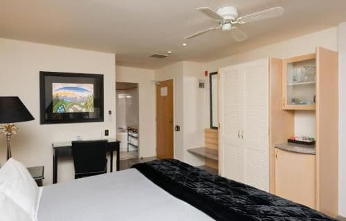 Special Offer - Standard Queen Room with Pool View