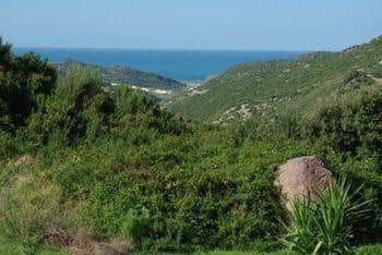 La Fattoria La Fattoria