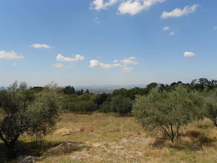 La Meridiana Strana La Meridiana Strana