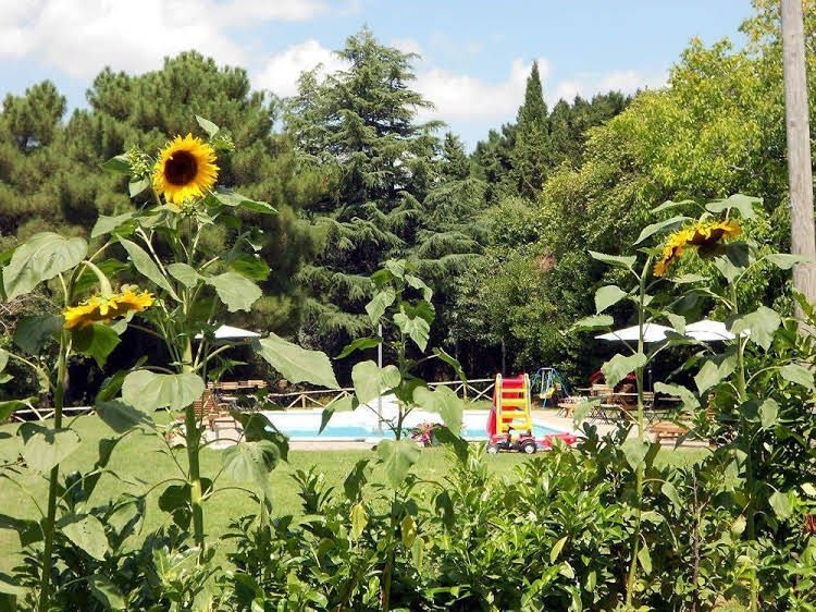 La Meridiana Strana1
