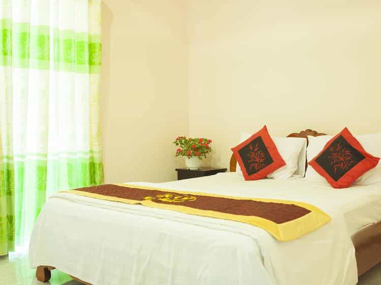 Petunia Garden Homestay Petunia Garden Homestay