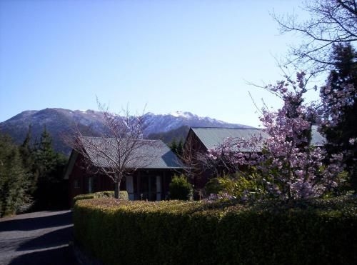 Forest Peak Motel0