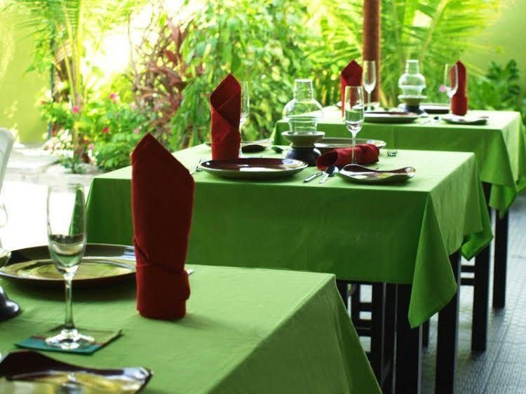 Dacha Maldives Guest House1
